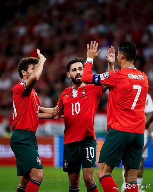 世界杯阿根廷C罗比赛解读全解析